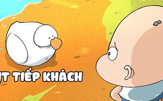 Vịt tiếp khách
