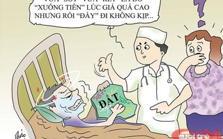 Khi bất động sản sốt... rét