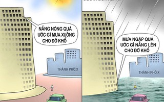 Nắng mưa là bệnh của trời...