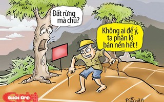 Phân lô bán tất!