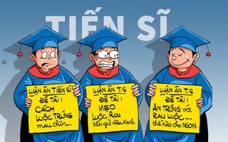 Luận án tiến sĩ tào lao: Luộc rau, đọc số...
