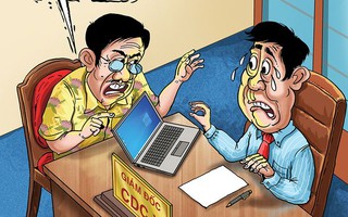 Coi bói cho... củi