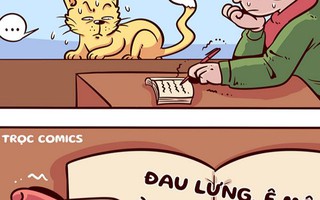 Vì sao cô gái Lofi dừng học bài?