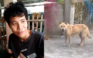 Thanh niên ngẩn ngơ khi chú chó bắt chước mình nhún nhảy theo nhạc
