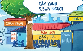 Nỗi niềm cây xanh đô thị