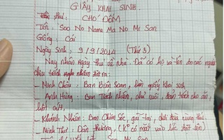 Khoe giấy khai sinh 'tự soạn' cho... chó cưng, 10X khiến dân mạng lụi tim