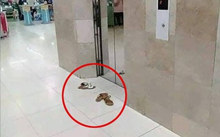 Ảnh vui 28/7: Lần đầu tiên được đi thang máy