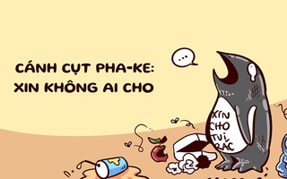 Cánh cụt 'pha ke' đói há miệng, cánh cụt hàng real ăn ngập mặt