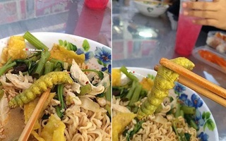 Ảnh vui 1-9: Tô mì với chiếc topping đầy đủ 'chất đạm'