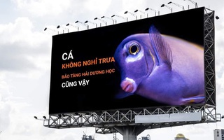 Ảnh vui 24/9: Thông báo mở cửa xuyên trưa sáng tạo như Bảo tàng Hải dương học