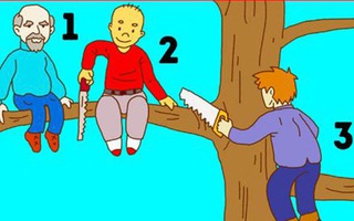 Ai là kẻ ngốc nghếch nhất? Kết quả sẽ tiết lộ tính cách của bạn