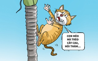 Con mèo trèo cây cau, đụng chú chuột gia thế khủng