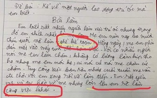 Bài văn tả mẹ làm kế toán khiến dân mạng cười ngất