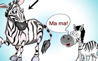 Đuổi hình bắt chữ: Đây là từ khóa nào? (P12)