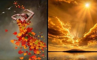 Tarot: Bạn cần làm gì để cuộc sống trở nên tốt đẹp hơn?