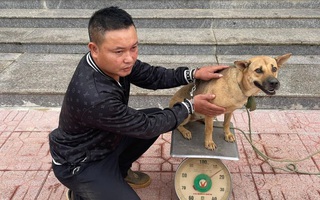 Ảnh vui 26-10: Bị cáo và bị hại