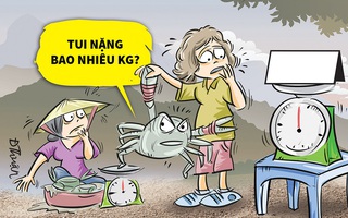 Chú cua bực mình vì bị cân điêu