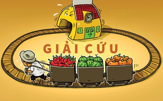 Vòng xoay giải cứu nông sản