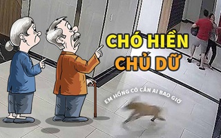 Chó nhà tôi hiền lắm, tôi mới dữ!