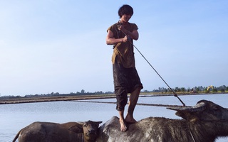 Tuấn Trần lội bùn, lội sông, làm quen với 'bạn diễn bốn chân'