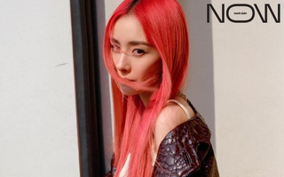 Dương Mịch không hứng thú chuyện yêu đương