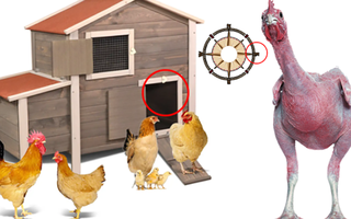 Câu tục ngữ, thành ngữ 'khó nhằn' này là gì? (P18)