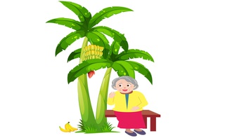 Câu tục ngữ, thành ngữ 'khó nhằn' này là gì? (P22)