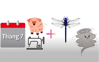 Câu tục ngữ, thành ngữ 'khó nhằn' này là gì? (P33)