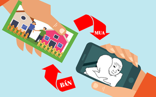 Câu tục ngữ, thành ngữ 'khó nhằn' này là gì? (P36)
