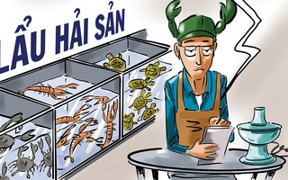 Khảo sát cho thấy sinh viên làm đúng chuyên ngành đào tạo