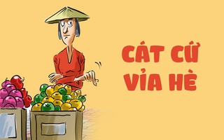 Cát cứ vỉa hè