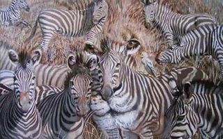 Con vật đầu tiên nhìn thấy soi thấu tính cách của bạn