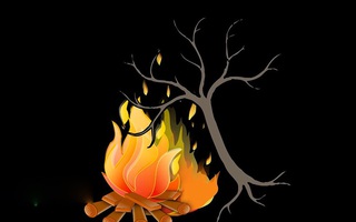 Đố vui: Cây gì càng đốt càng dài?