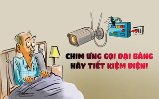 Chim ưng gọi đại bàng: Hãy tiết kiệm điện ngay!