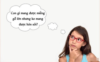 Câu đố hack não: Con gì mang được miếng gỗ lớn nhưng không mang được hòn sỏi?