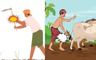 Câu tục ngữ, thành ngữ 'khó nhằn' này là gì? (P38)