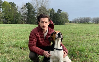 ‘Nhện nhọ’ Tom Holland chán ngán Hollywood
