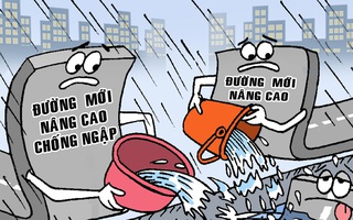 Nâng đường chống ngập càng ngập thêm