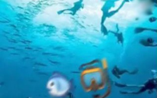 Ảo ảnh tiết lộ bạn có phải là người cả tin, dễ bị lừa?
