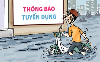 Tuyển dụng mùa mưa: Ưu tiên ứng viên giàu kinh nghiệm sông nước