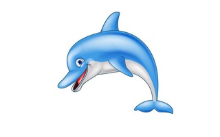 Câu đố hack não: Cá gì biết làm toán?