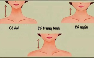 Số đo cổ tiết lộ tính cách bên trong bạn
