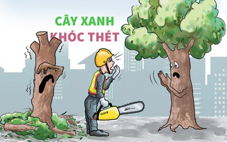 Cây xanh đô thị khóc thét vì style đầu đinh