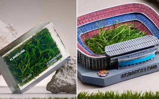 CLB Barcelona bán cỏ kiếm tiền cải tạo sân Nou Camp