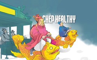 Cá chép healthy vượt trạm đăng kiểm