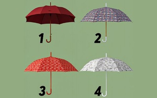 Quiz: Bạn là người thích cạnh tranh hay thích hợp tác hơn?