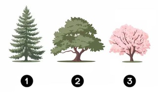 Quiz: Tại sao bạn thường xuyên bất an?