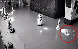 Robot 'nhí' rủ rê bạn bè... 'bỏ việc'