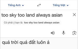 Ảnh vui 22-11: 'Quá trời quá đất' khi được 'chị Google' dịch