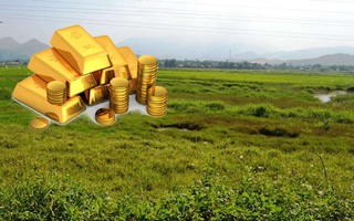 Câu ca dao, tục ngữ 'khó nhằn' này là gì? (P80)